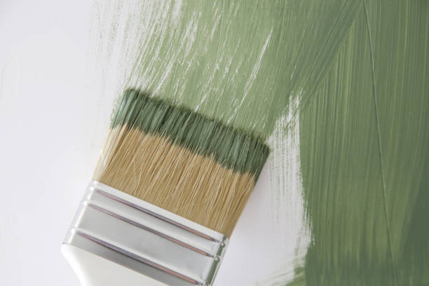 Best Environmental Consulting for Mold Prevention  in Italy, TX