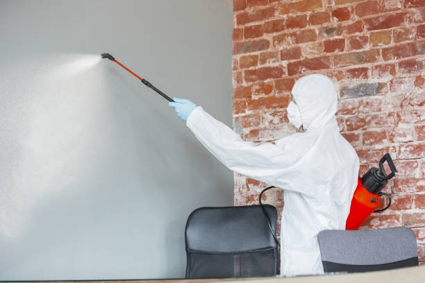Best Post-Remediation Verification Testing  in Italy, TX