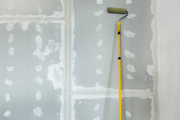Best Commercial Mold Inspection  in Italy, TX