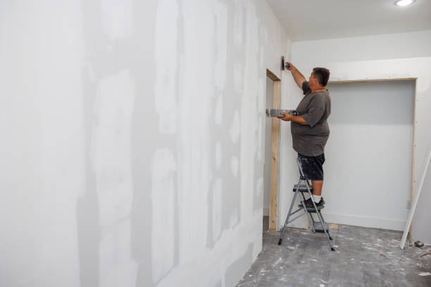 Mold Odor Removal Services in Italy, TX