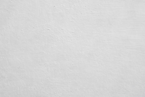 Trusted Italy, TX Mold Removal Experts